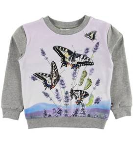 Hovedbilde Molo, Regine metamorphosis ...