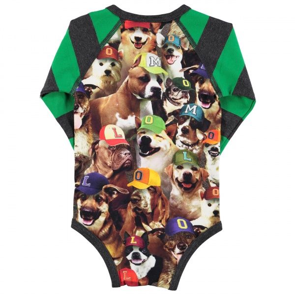 Molo, Floyd body NY dogs