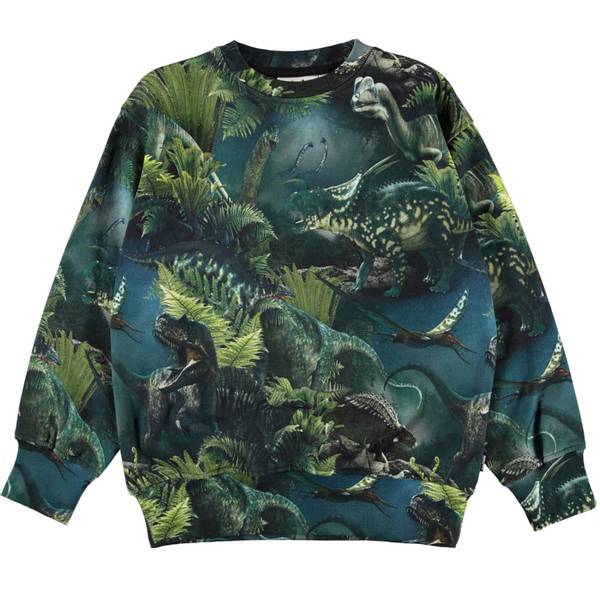 Molo, Mattis dino night sweatshirt