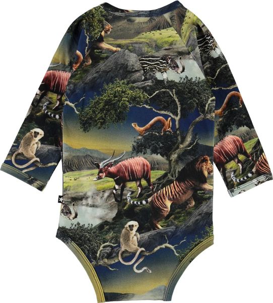 Molo, Field future animals body