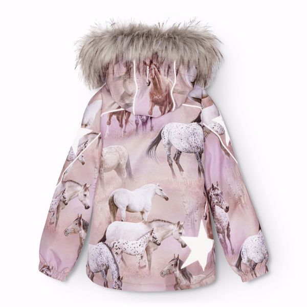 Molo, Hopla fur dreamy horses